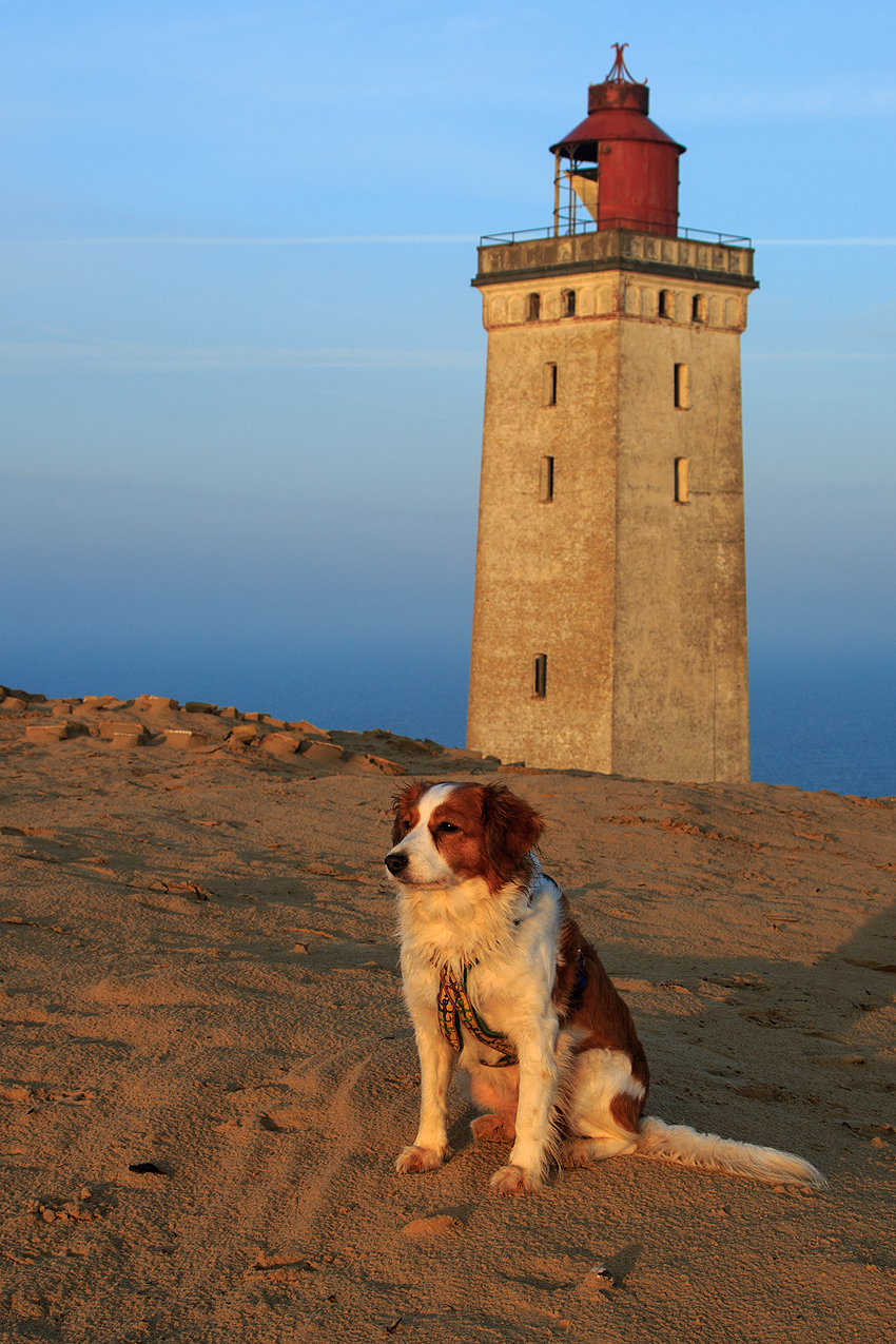 Urlaub mit Hund in Dänemark - November 2018