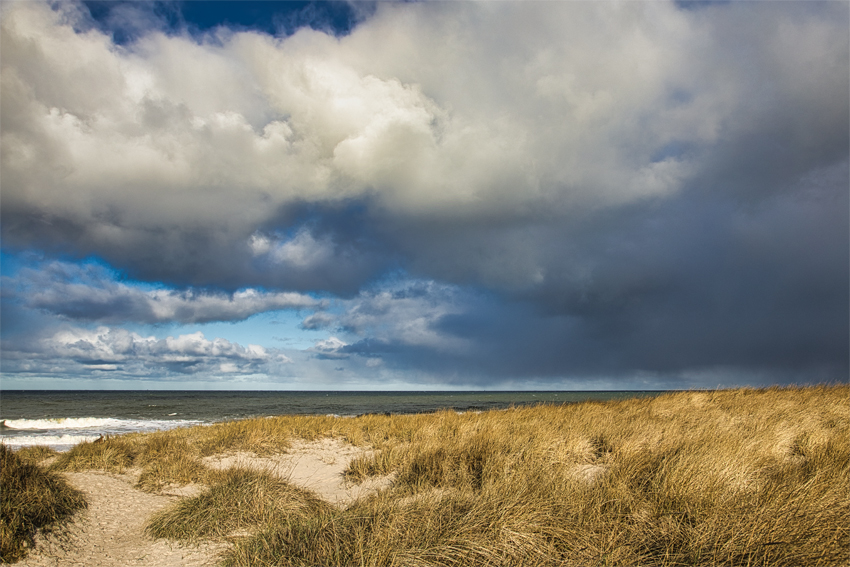 Urlaub mit Hund in Dänemark