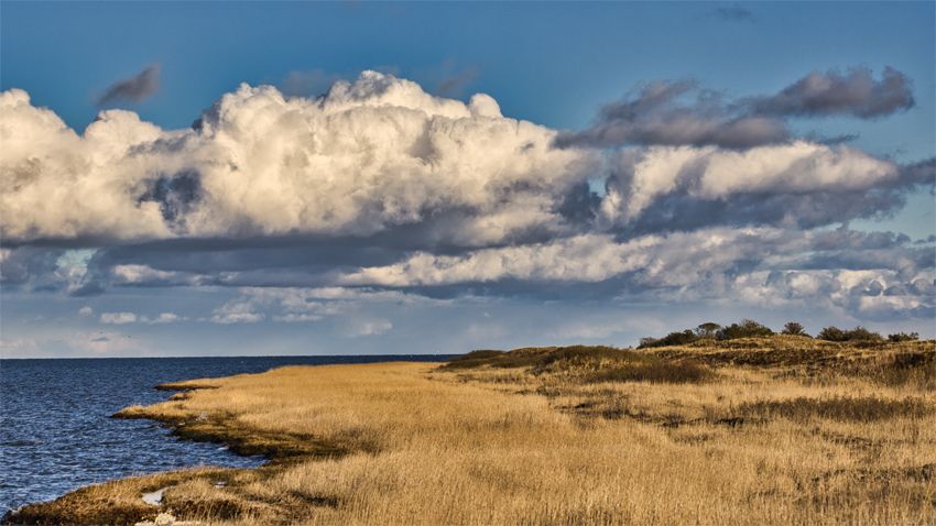 Urlaub mit Hund in Dänemark