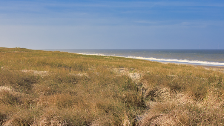 Urlaub mit Hund in Dänemark