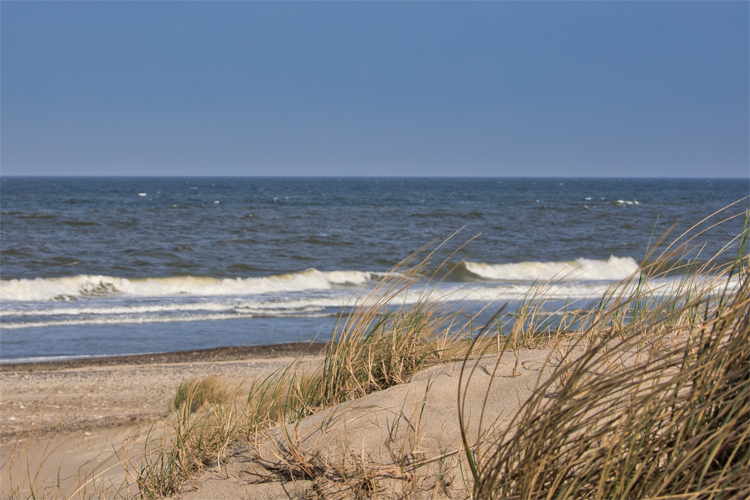 Urlaub mit Hund in Dänemark