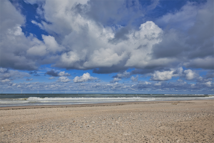 Urlaub mit Hund in Dänemark