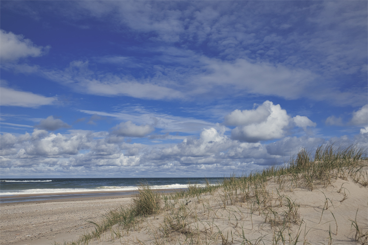 Urlaub mit Hund in Dänemark