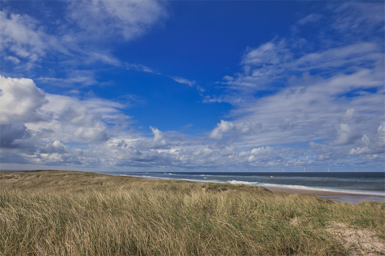 Urlaub mit Hund in Dänemark