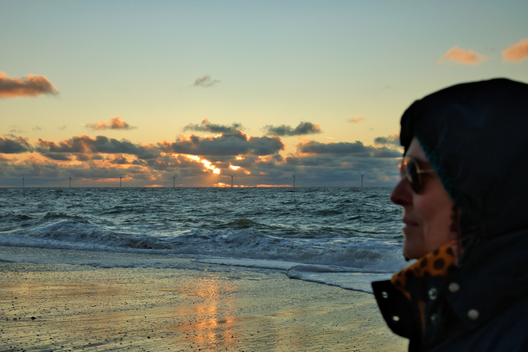 Urlaub mit Hund in Dänemark