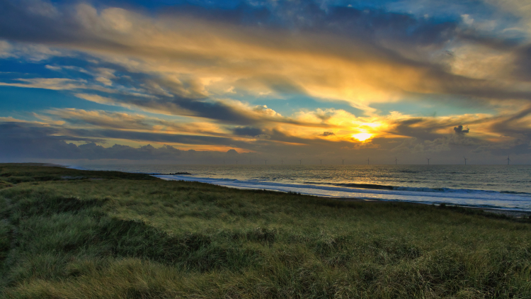 Urlaub mit Hund in Dänemark