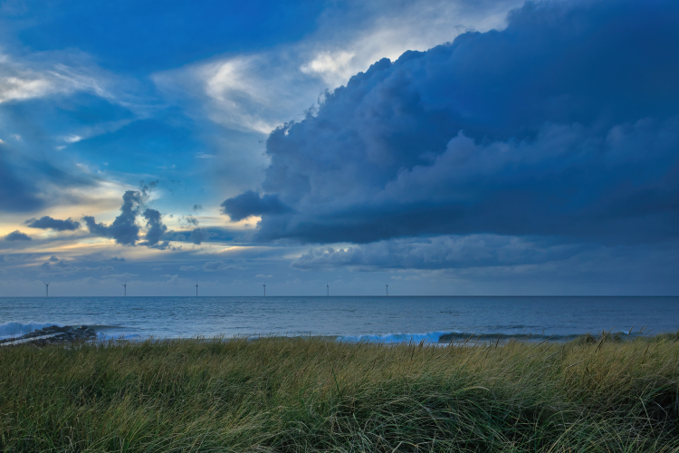 Urlaub mit Hund in Dänemark