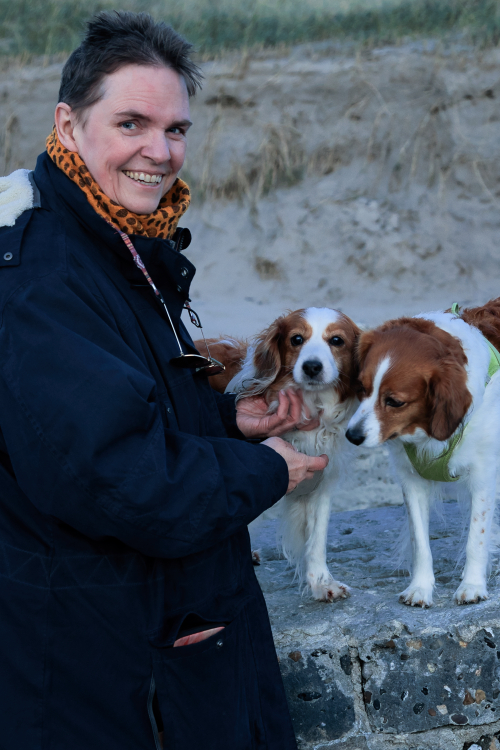 Urlaub mit Hund in Dänemark