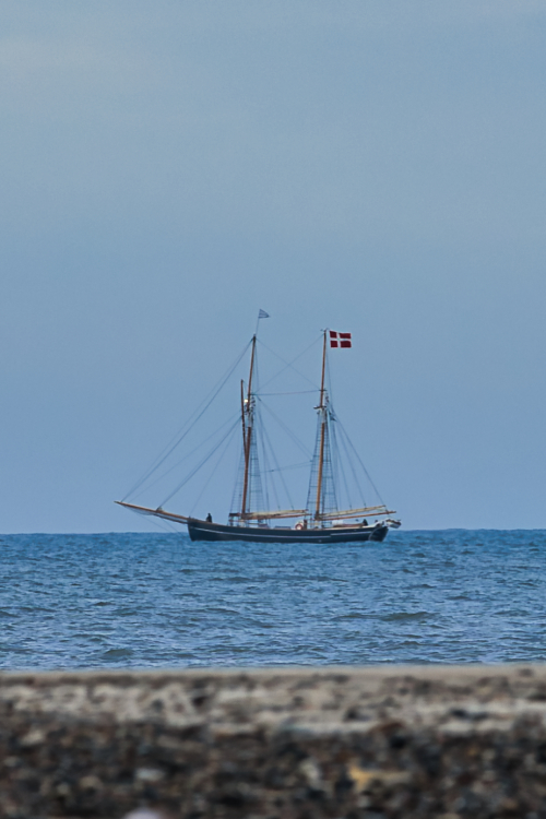 Urlaub mit Hund in Dänemark
