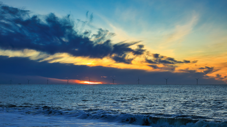 Urlaub mit Hund in Dänemark