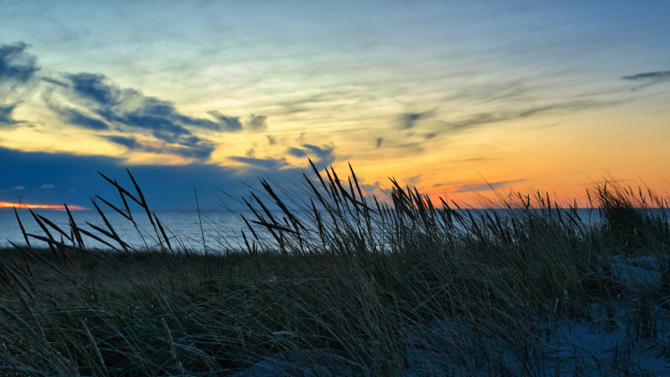 Nordicfotos - Oktober 2025