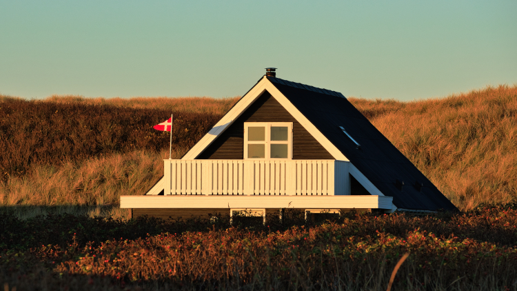Urlaub mit Hund in Dänemark