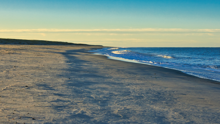 Urlaub mit Hund in Dänemark