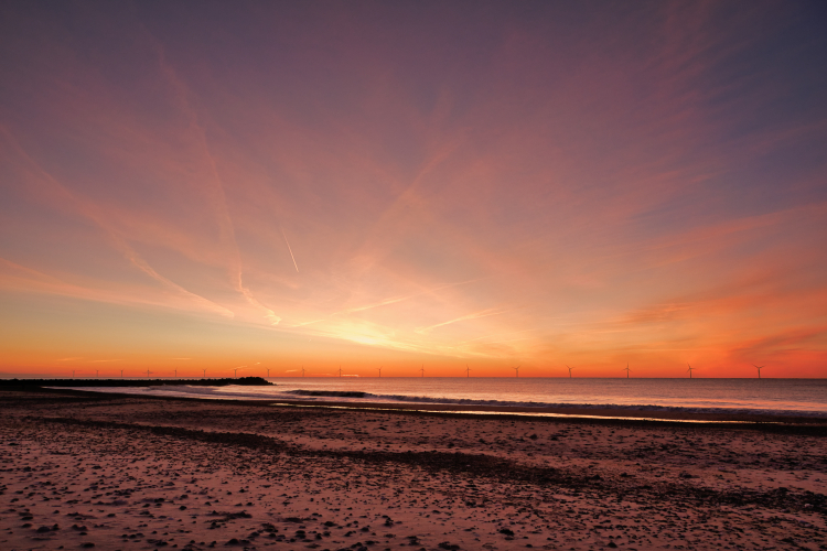 Urlaub mit Hund in Dänemark