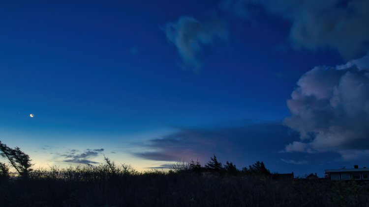 Urlaub mit Hund in Dänemark